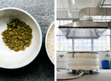 BROOKLYN KURA SAKE TASTING - UNDERSTANDING SAKE: HISTORY, METHODS, AND EXPLORING REGIONALITY, JUNE 17TH, 6-8PM